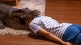 動画フル ピクサーショートフィルムvol 3は短くて見やすい 感想とネタバレ 動画フル ピクサーショートフィルムvol 3は短くて見やすい 感想とネタバレ